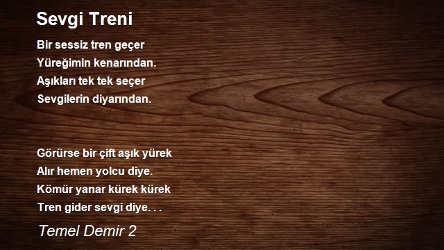 Temel Demir 2