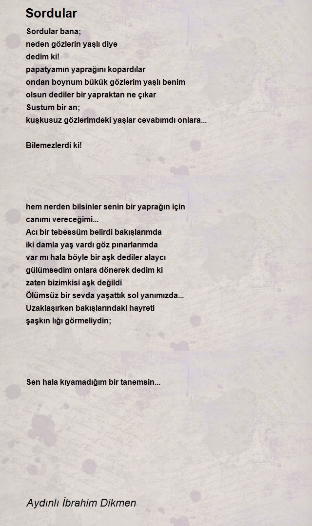 İbrahim Dikmen 2