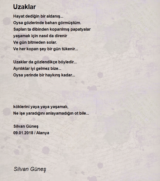 Silvan Güneş