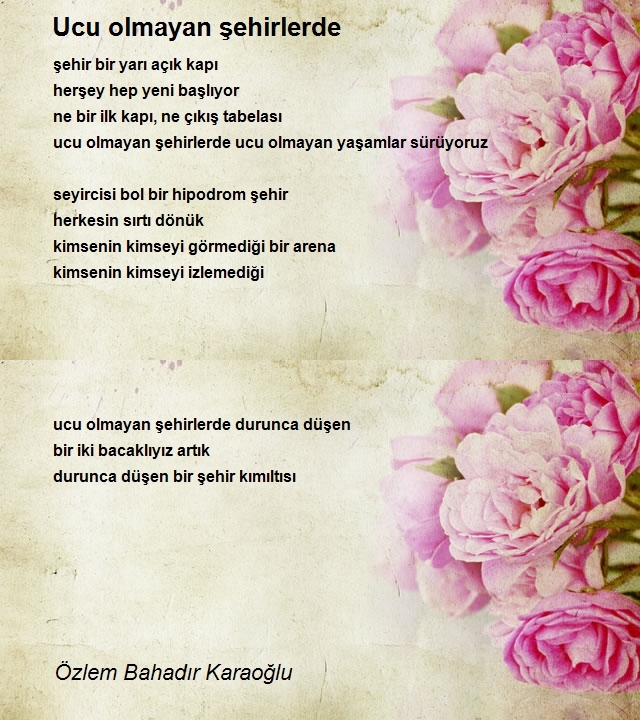 Özlem Bahadır Karaoğlu