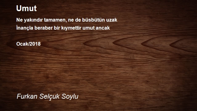 Furkan Selçuk Soylu