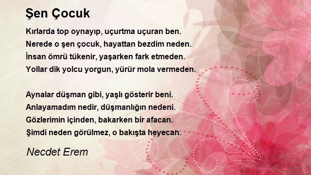 Necdet Erem