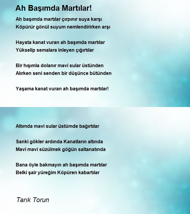 Tarık Torun