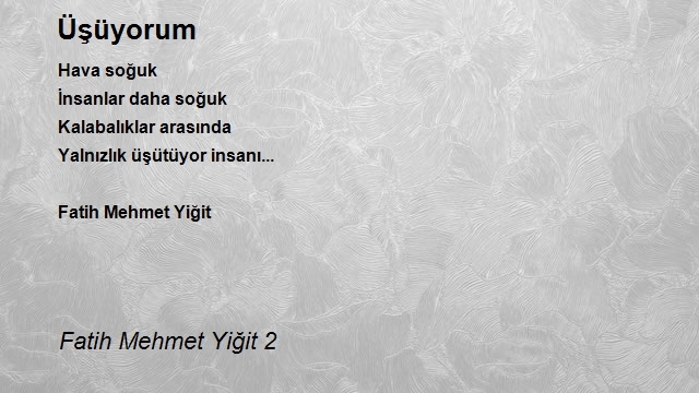 Fatih Mehmet Yiğit 2