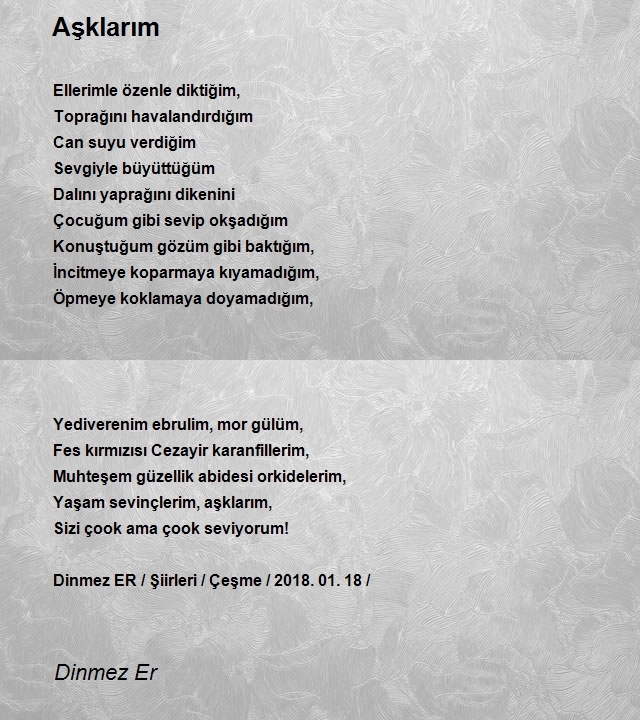 Dinmez Er