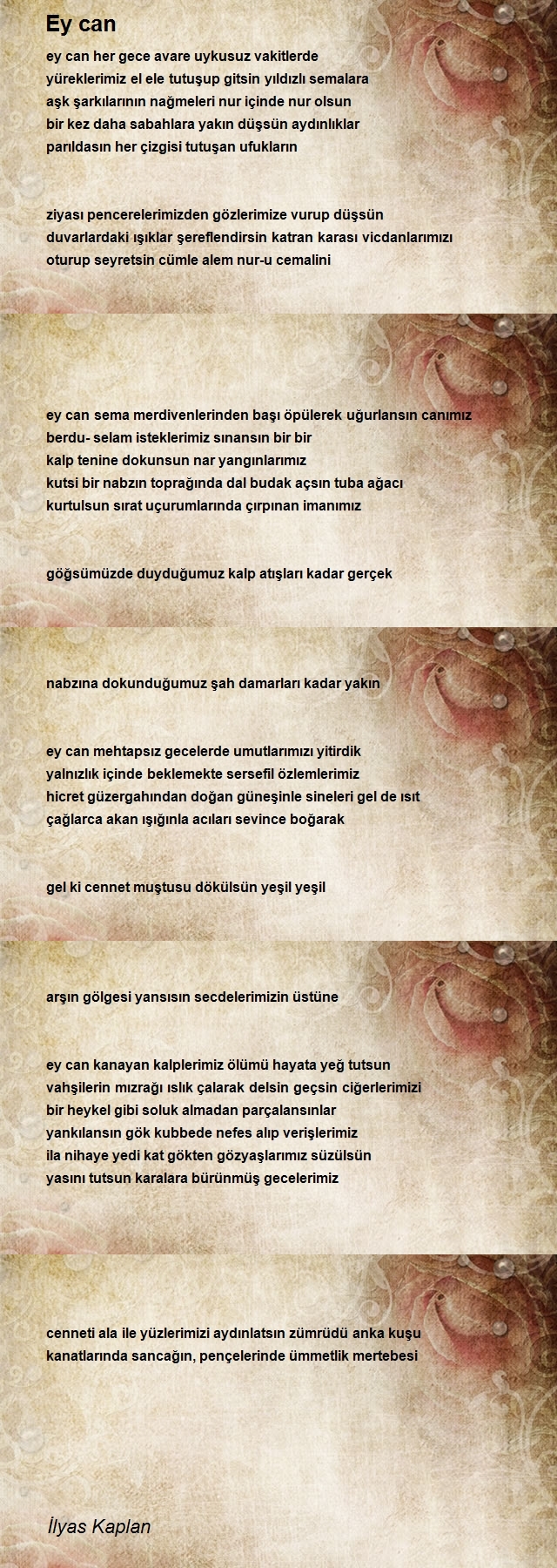 İlyas Kaplan