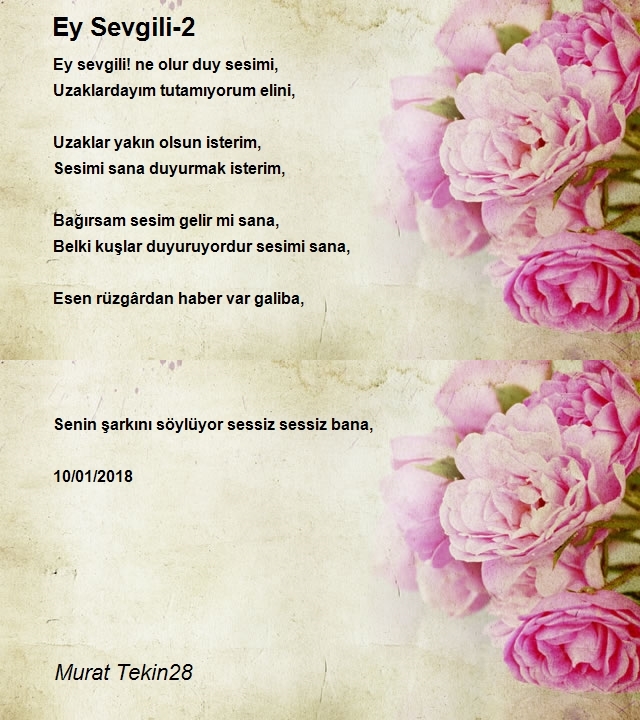 Murat Tekin28