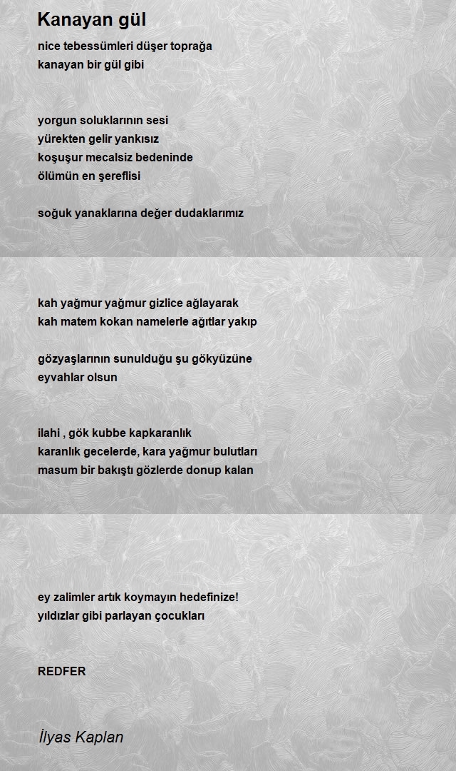 İlyas Kaplan