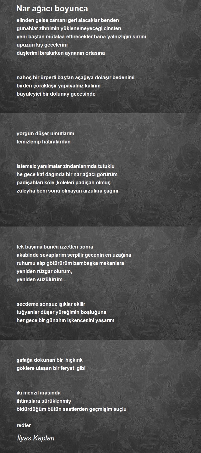 İlyas Kaplan