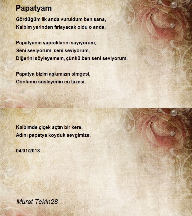 Murat Tekin28