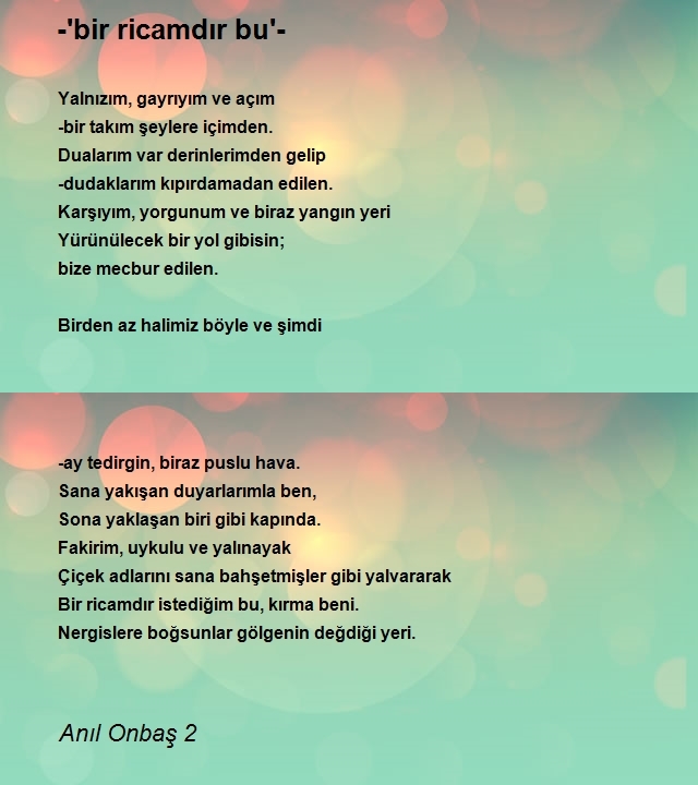 Anıl Onbaş 2