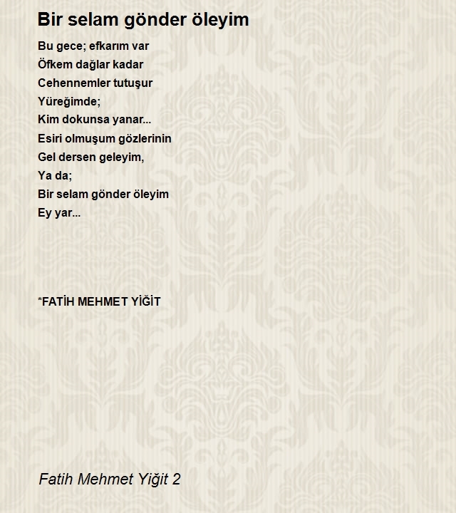 Fatih Mehmet Yiğit 2