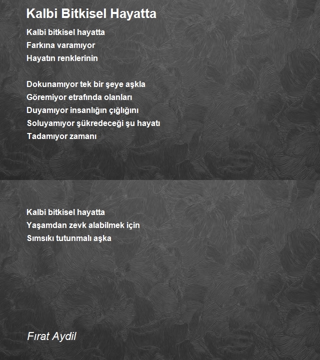 Fırat Aydil