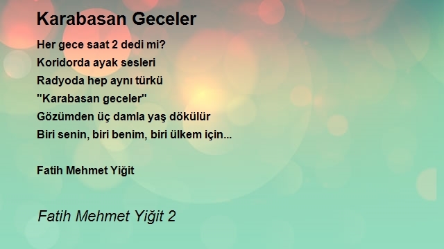 Fatih Mehmet Yiğit 2