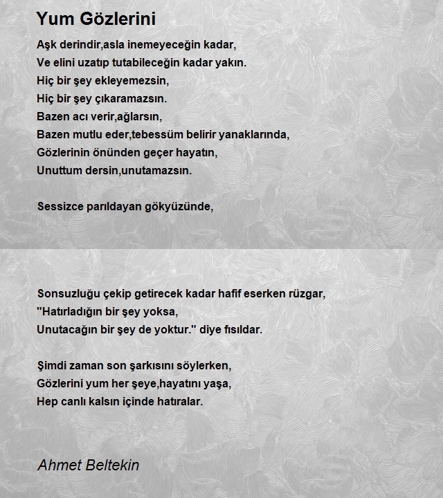 Ahmet Beltekin