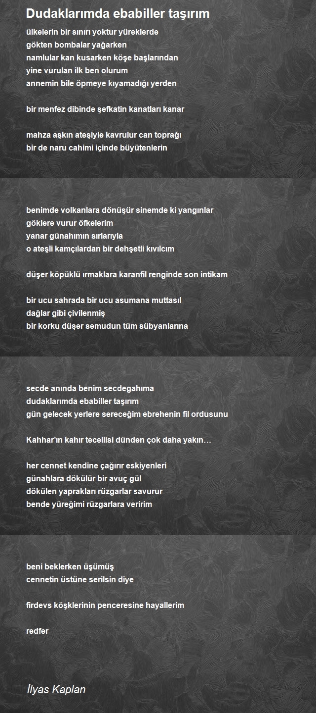 İlyas Kaplan