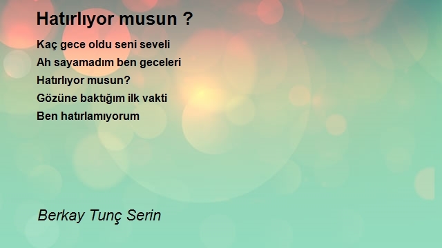 Berkay Tunç Serin