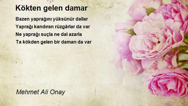 Mehmet Ali Onay