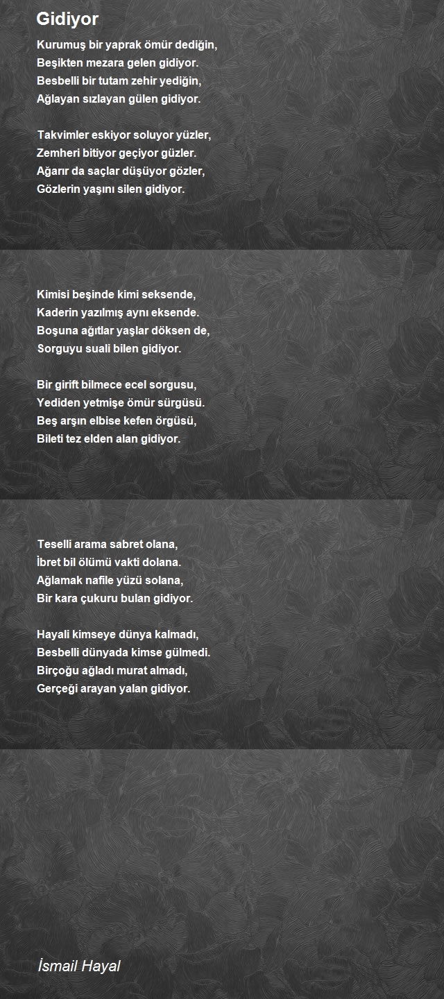 İsmail Hayal