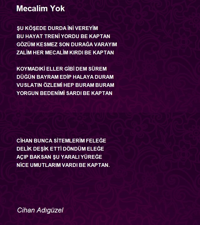 Cihan Adıgüzel