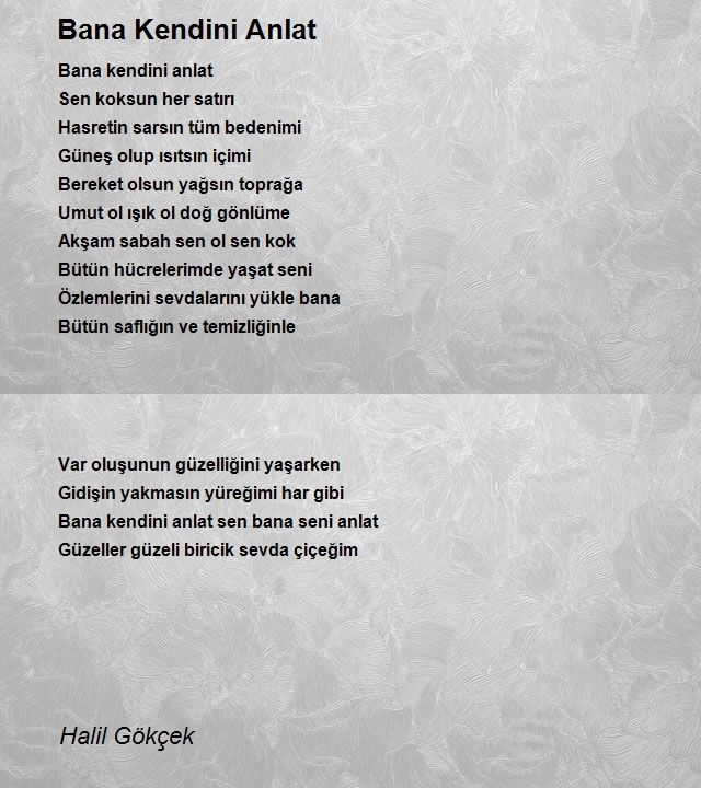 Halil Gökçek