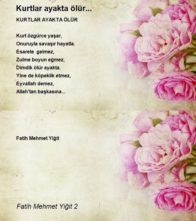 Fatih Mehmet Yiğit 2