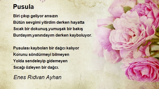 Enes Rıdvan Ayhan