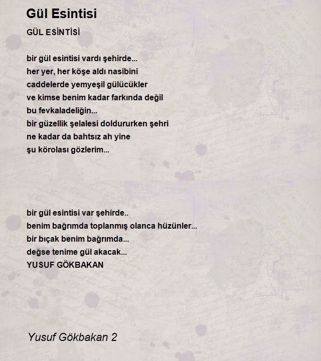 Yusuf Gökbakan 2