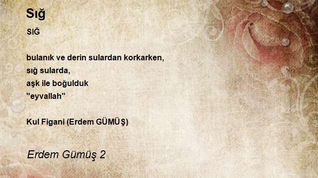 Erdem Gümüş 2