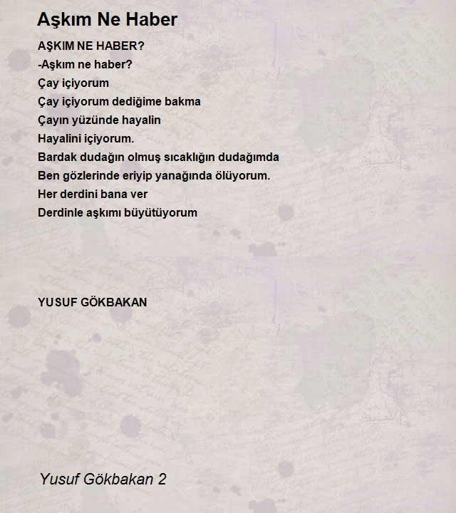 Yusuf Gökbakan 2