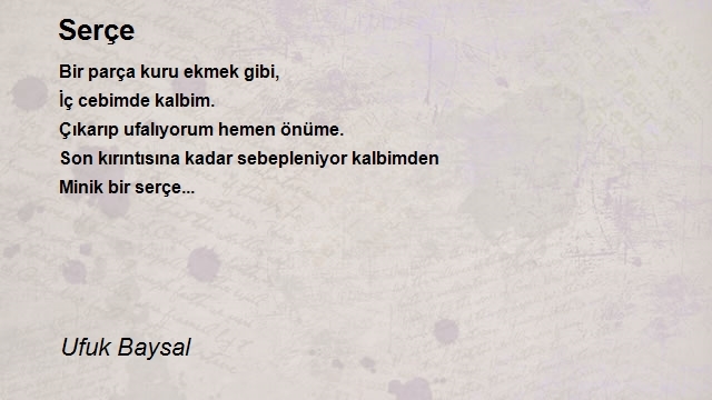 Ufuk Baysal