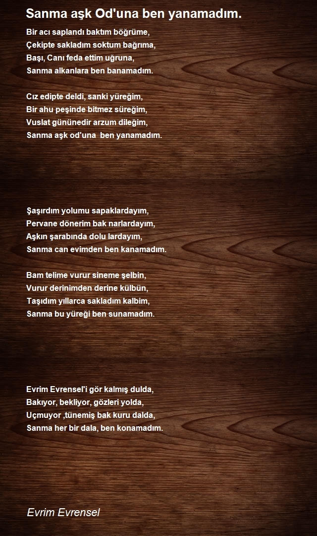 Evrim Evrensel