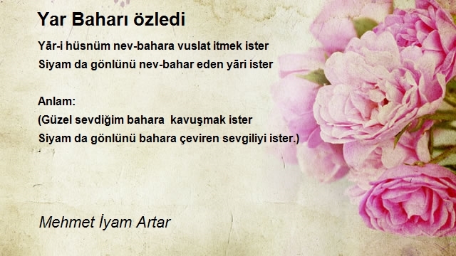 Mehmet İyam Artar