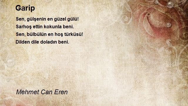 Mehmet Can Eren