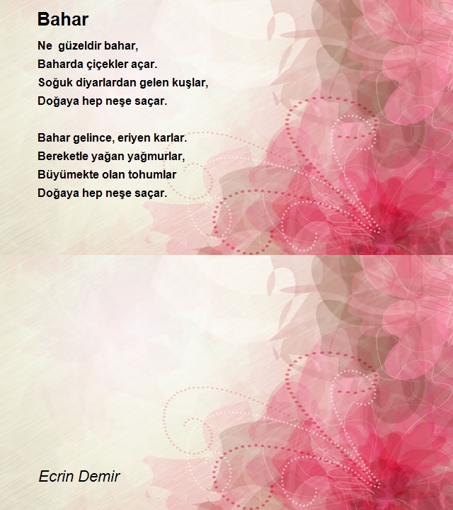 Ecrin Demir