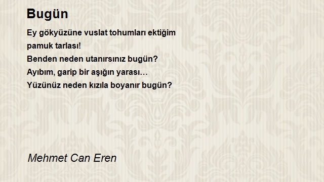 Mehmet Can Eren