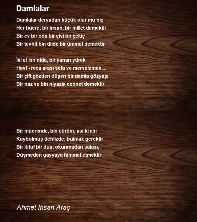 Ahmet Ihsan Arac