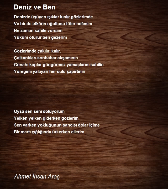 Ahmet Ihsan Arac