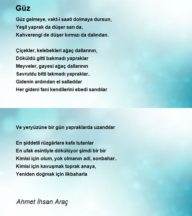 Ahmet Ihsan Arac