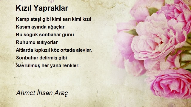 Ahmet Ihsan Arac