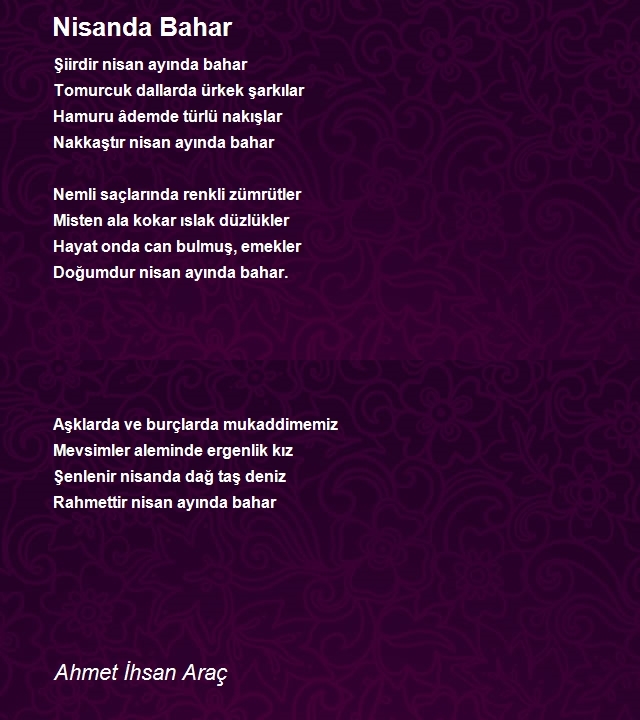 Ahmet Ihsan Arac