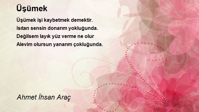 Ahmet Ihsan Arac