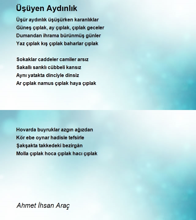 Ahmet Ihsan Arac