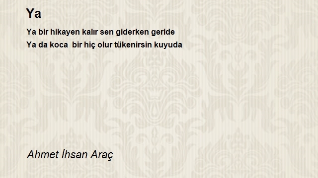 Ahmet Ihsan Arac