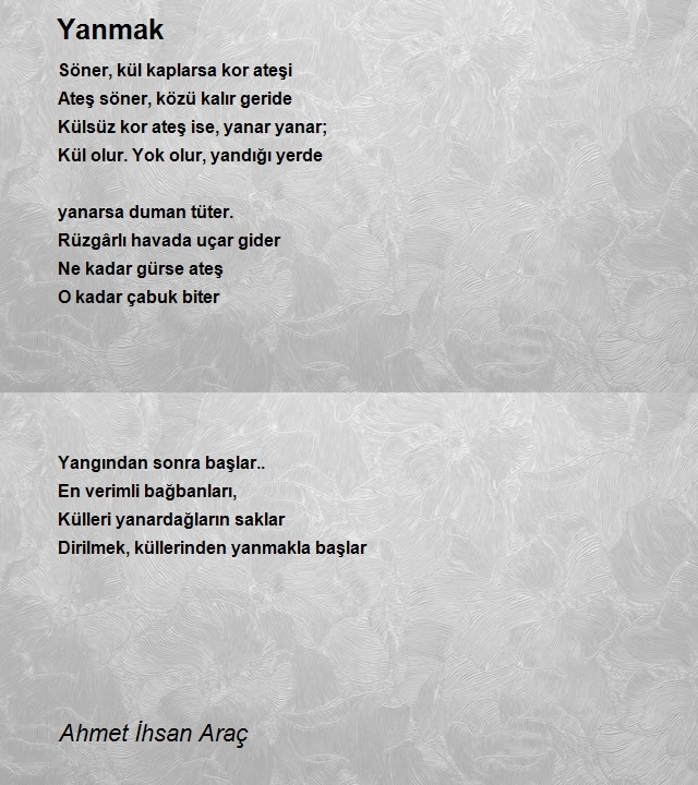 Ahmet Ihsan Arac