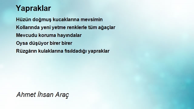 Ahmet Ihsan Arac