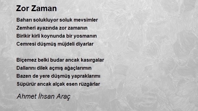 Ahmet Ihsan Arac