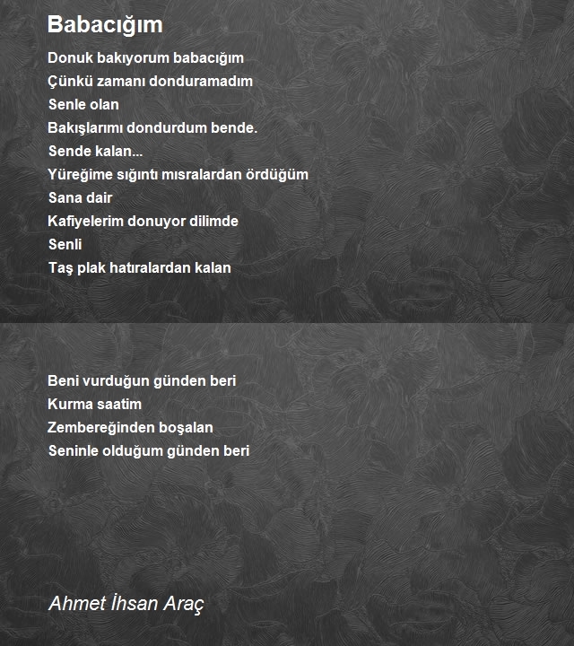 Ahmet Ihsan Arac