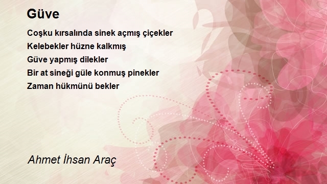 Ahmet Ihsan Arac