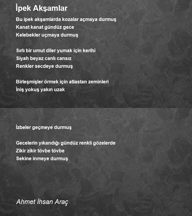 Ahmet Ihsan Arac